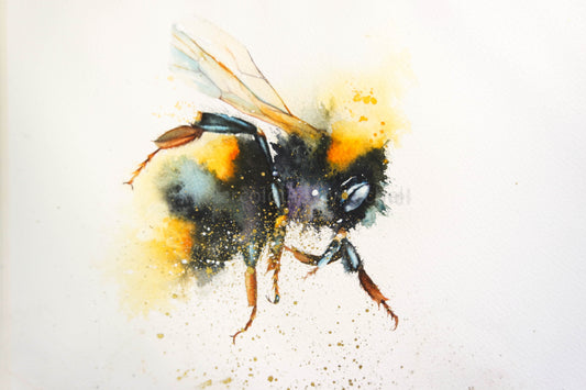 Bee-volution