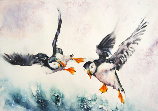 Painting a pair of puffins !