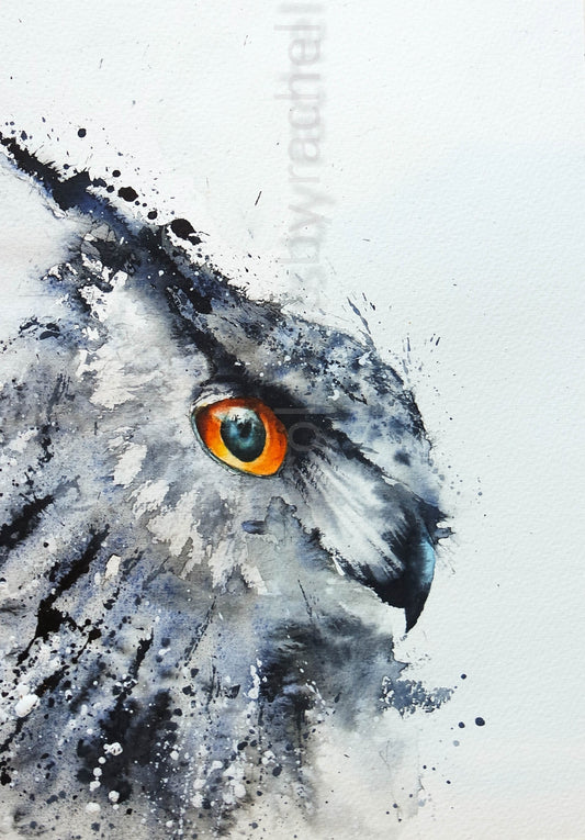 It's all about the eyes....