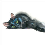 Guinea Pig and Black Cat ( 2 cards)