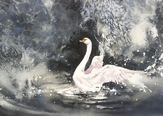 ***NEW*** Grace, swan ( limited edition print )