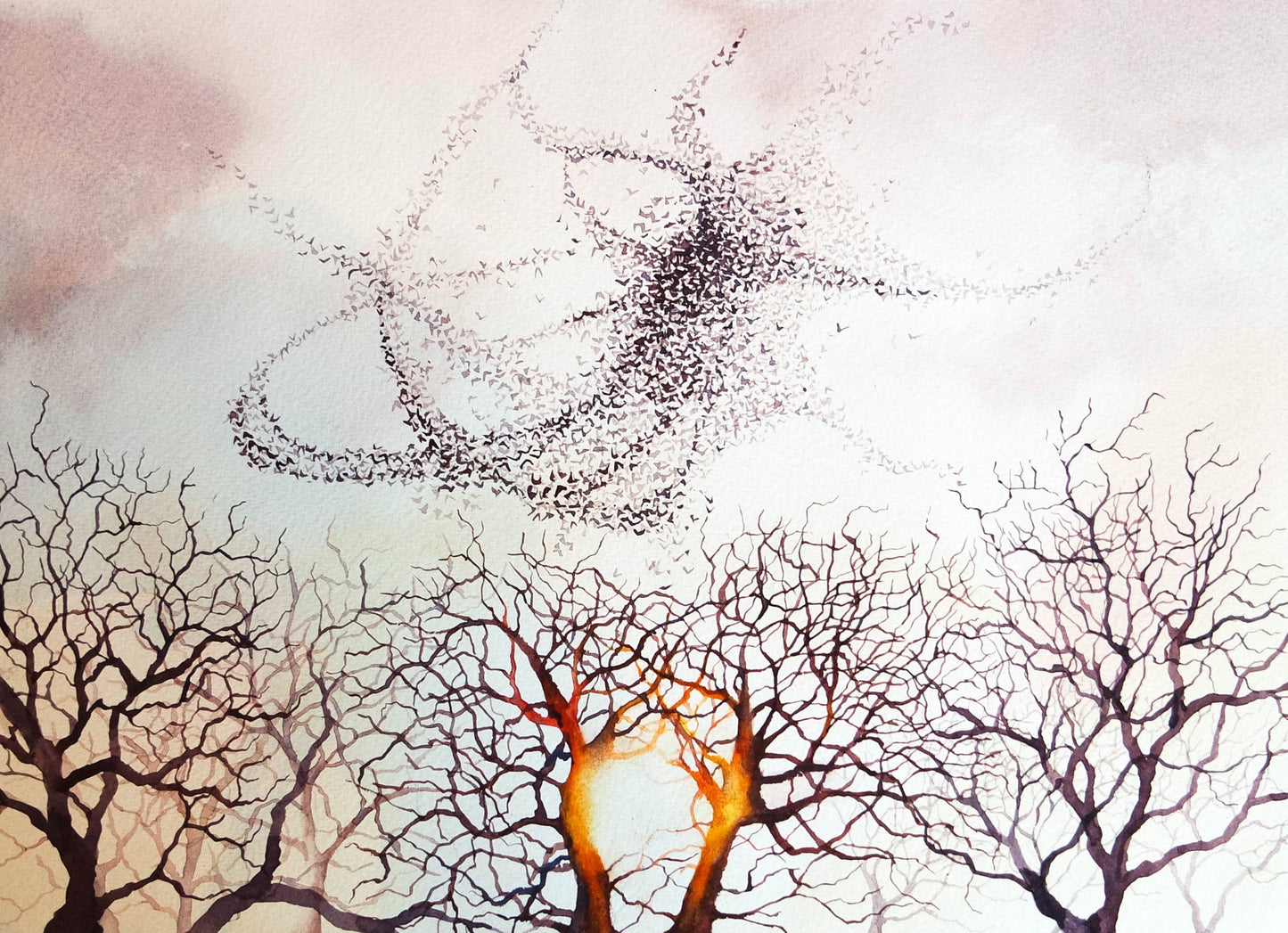 Murmuration ( Limited Edition Print )