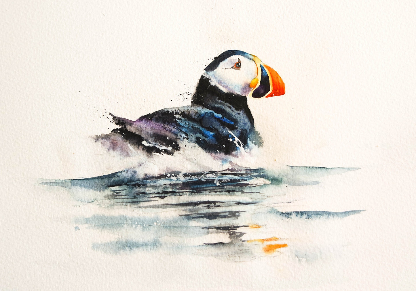 Puffin reflection ( Limited Edition Print )