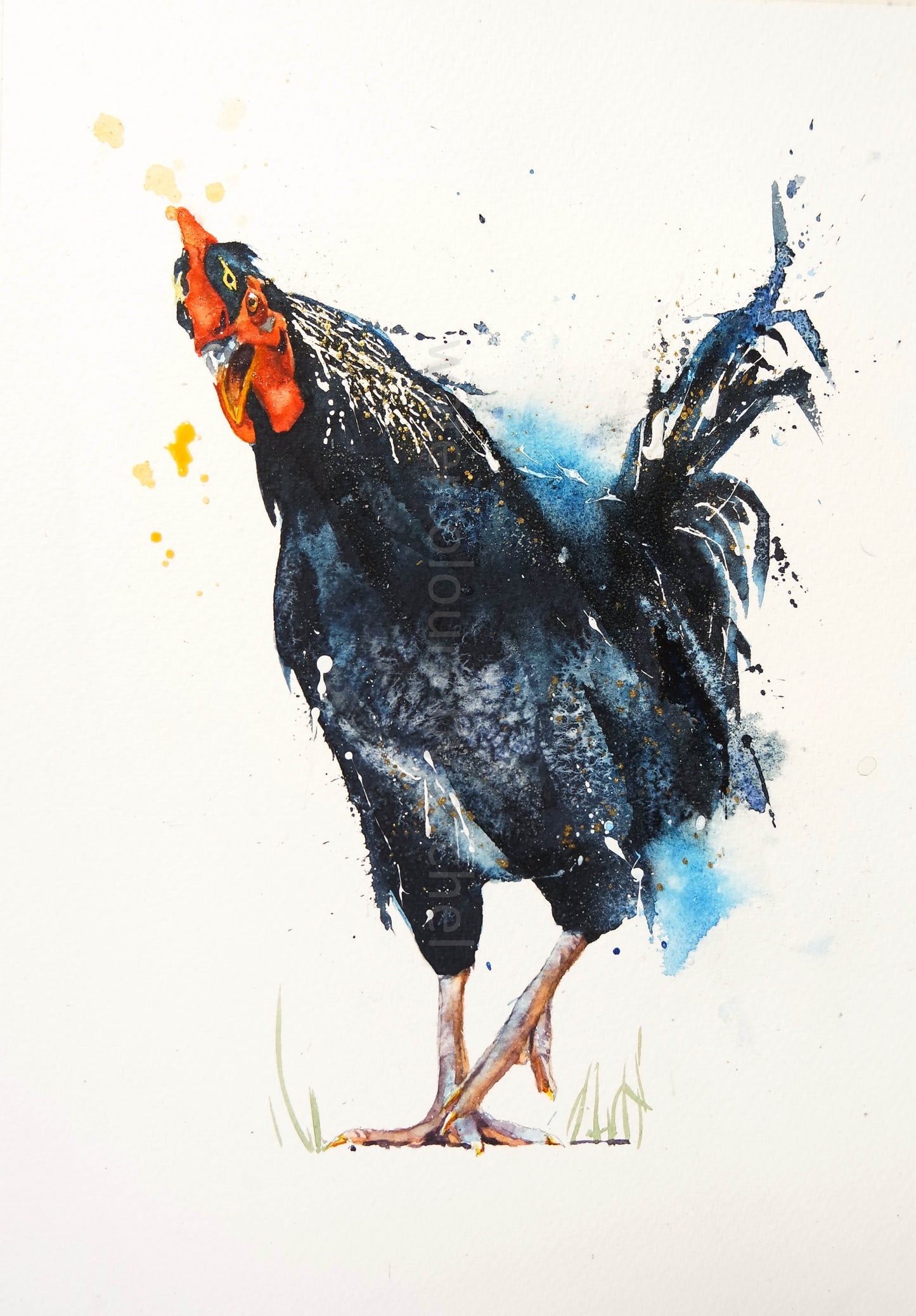 Shake your tail feathers