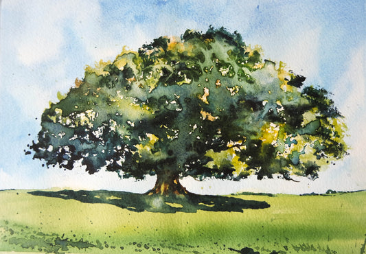 Devon Tree 1