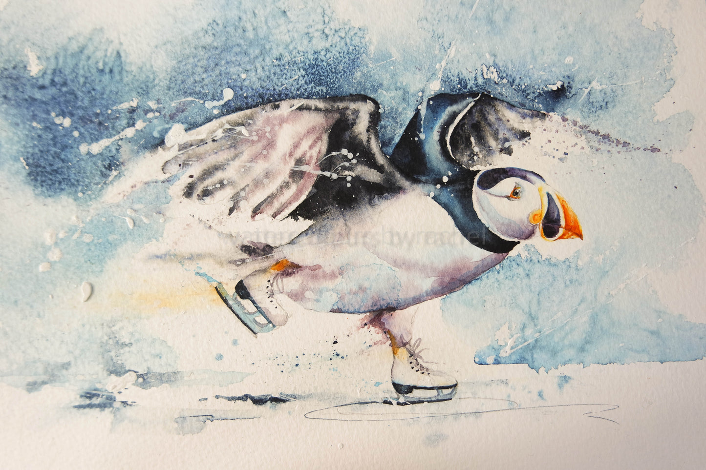 Skating Puffin