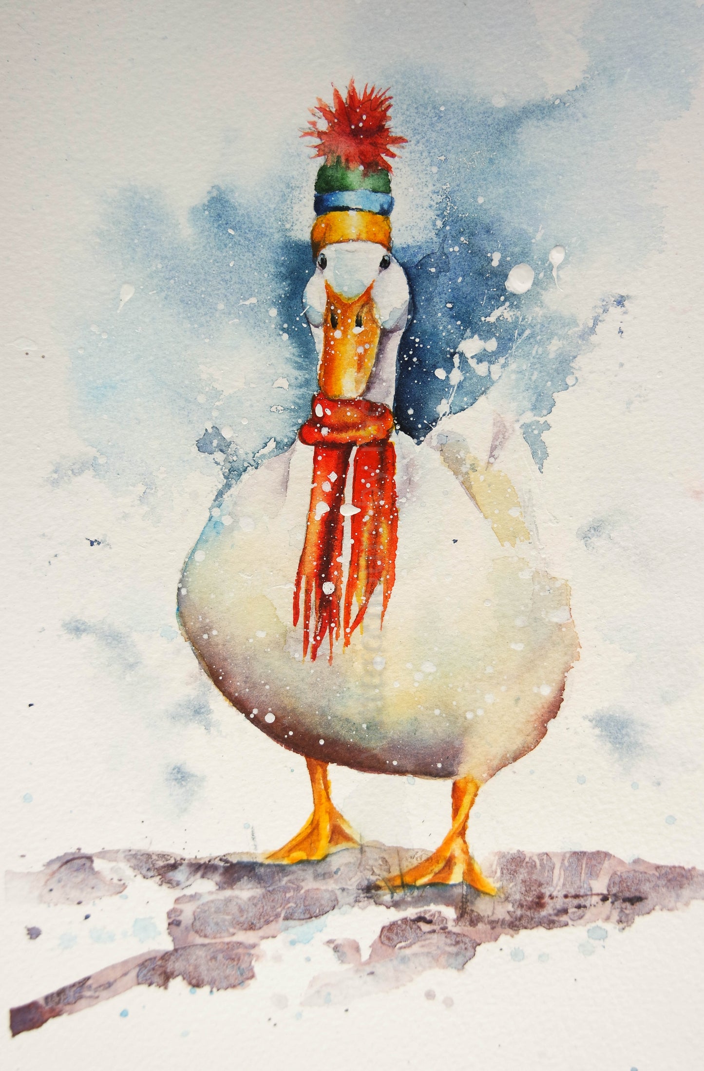 Winter Duck