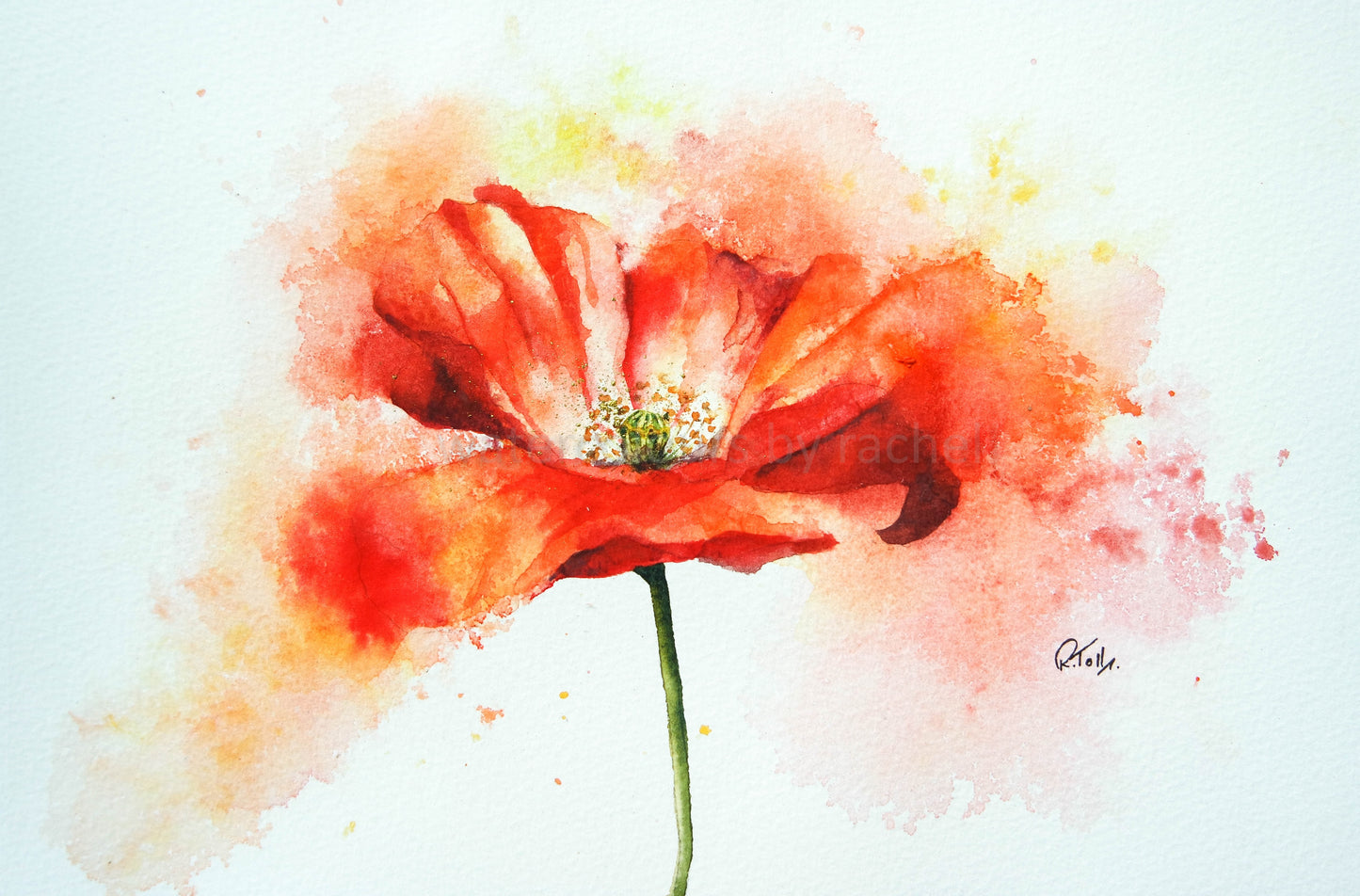 Splishy splashy poppy (£20 of the sale price will be donated to the Royal British Legion Poppy Appeal )