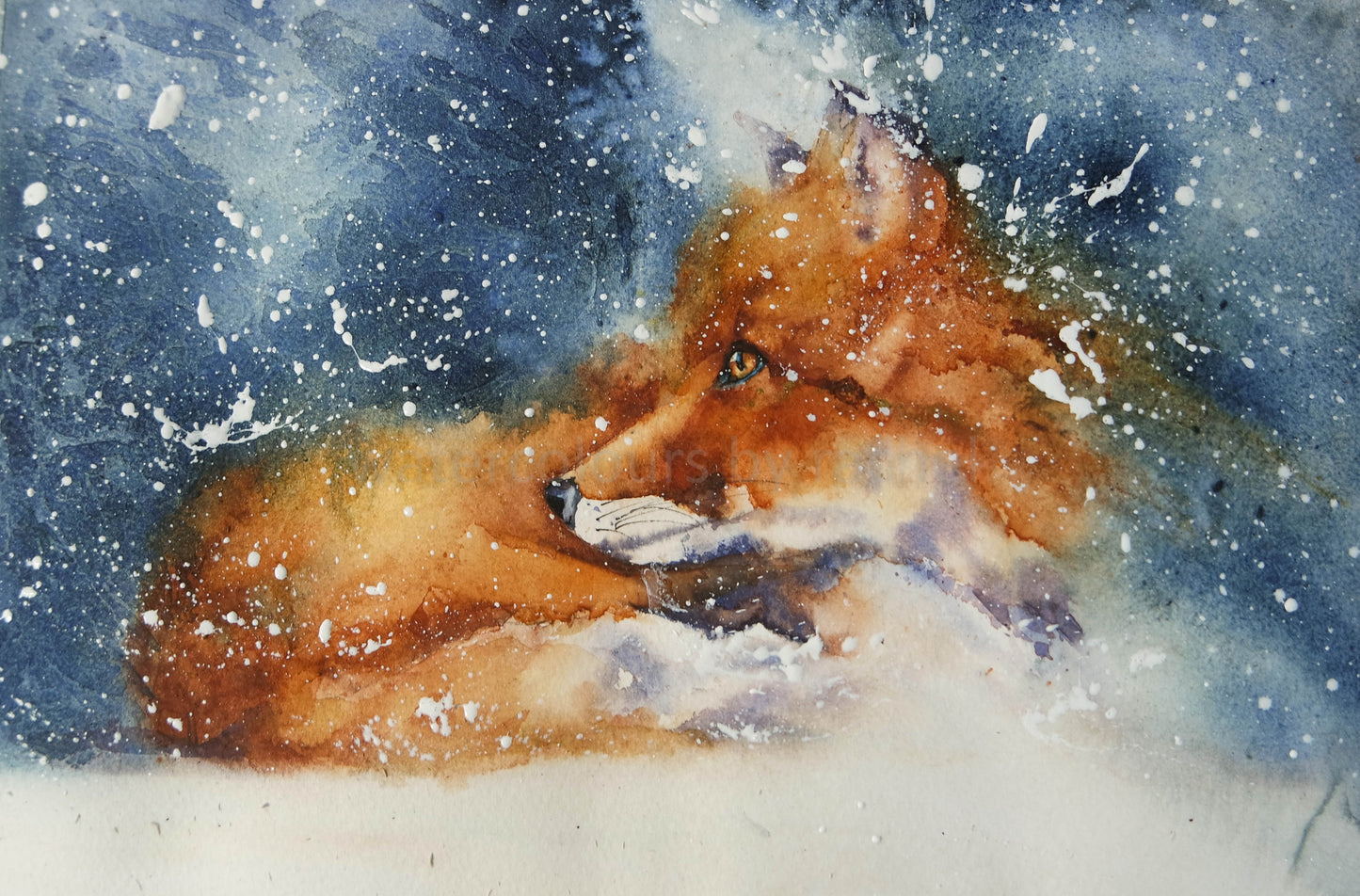 Winter Fox