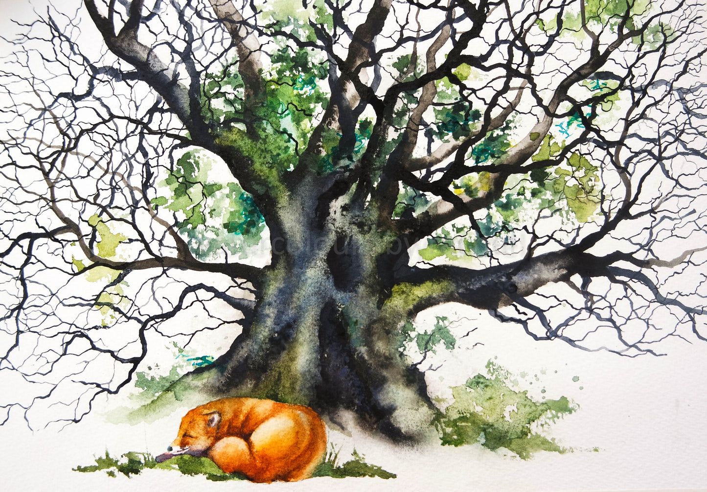 Nestled in the nook of an old oak tree