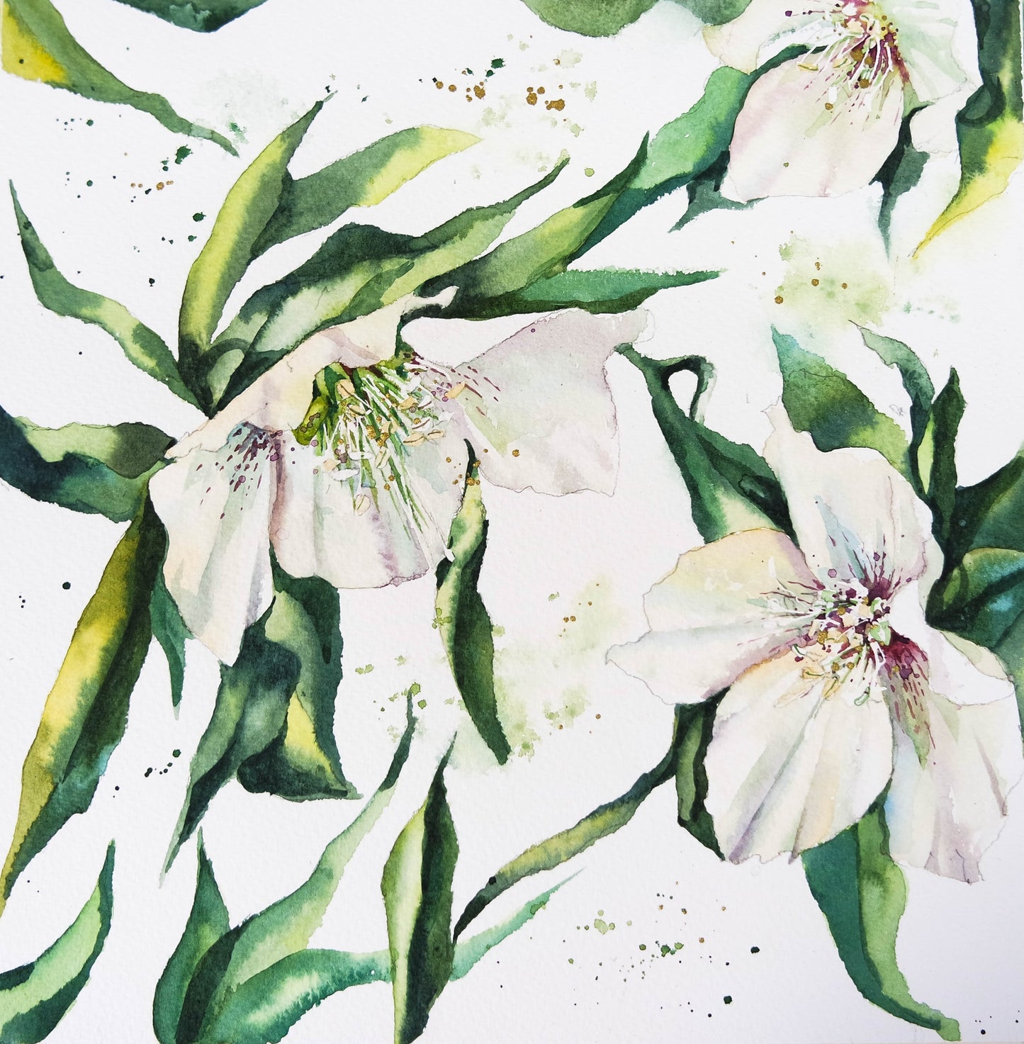 Four seasons in Flowers ( 4 cards)