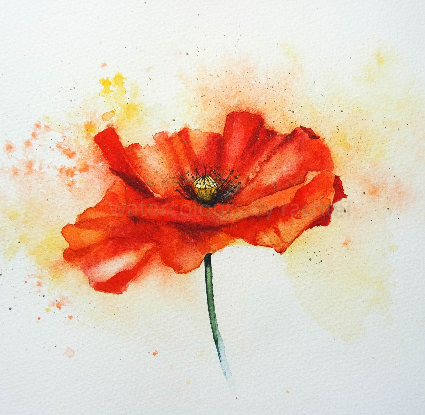 A simple poppy