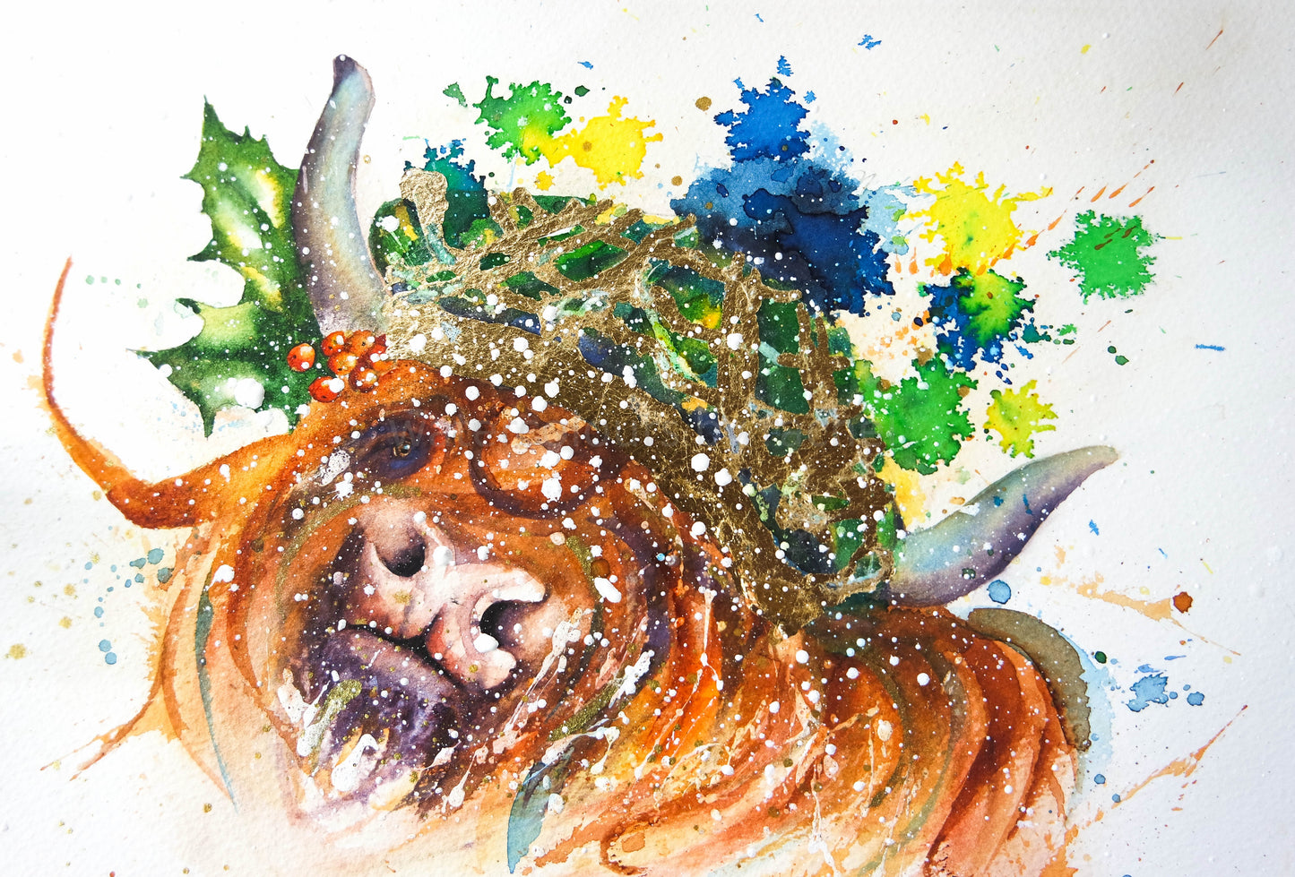 Holly the festive highland cow