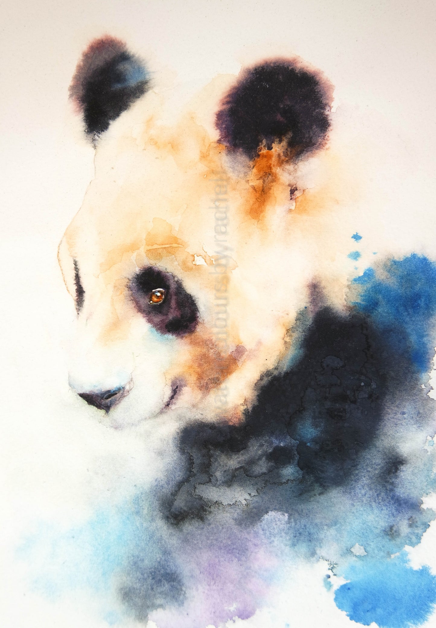 Watercolour Panda