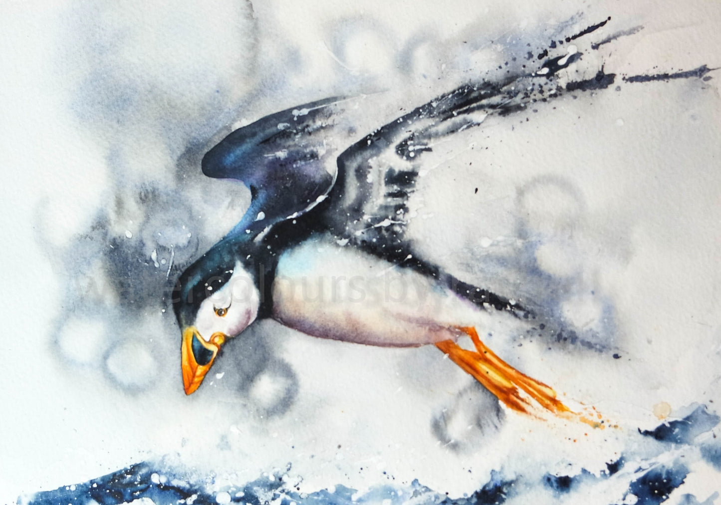 ***Summer Sale*** Looking for Lunch ( Puffin)