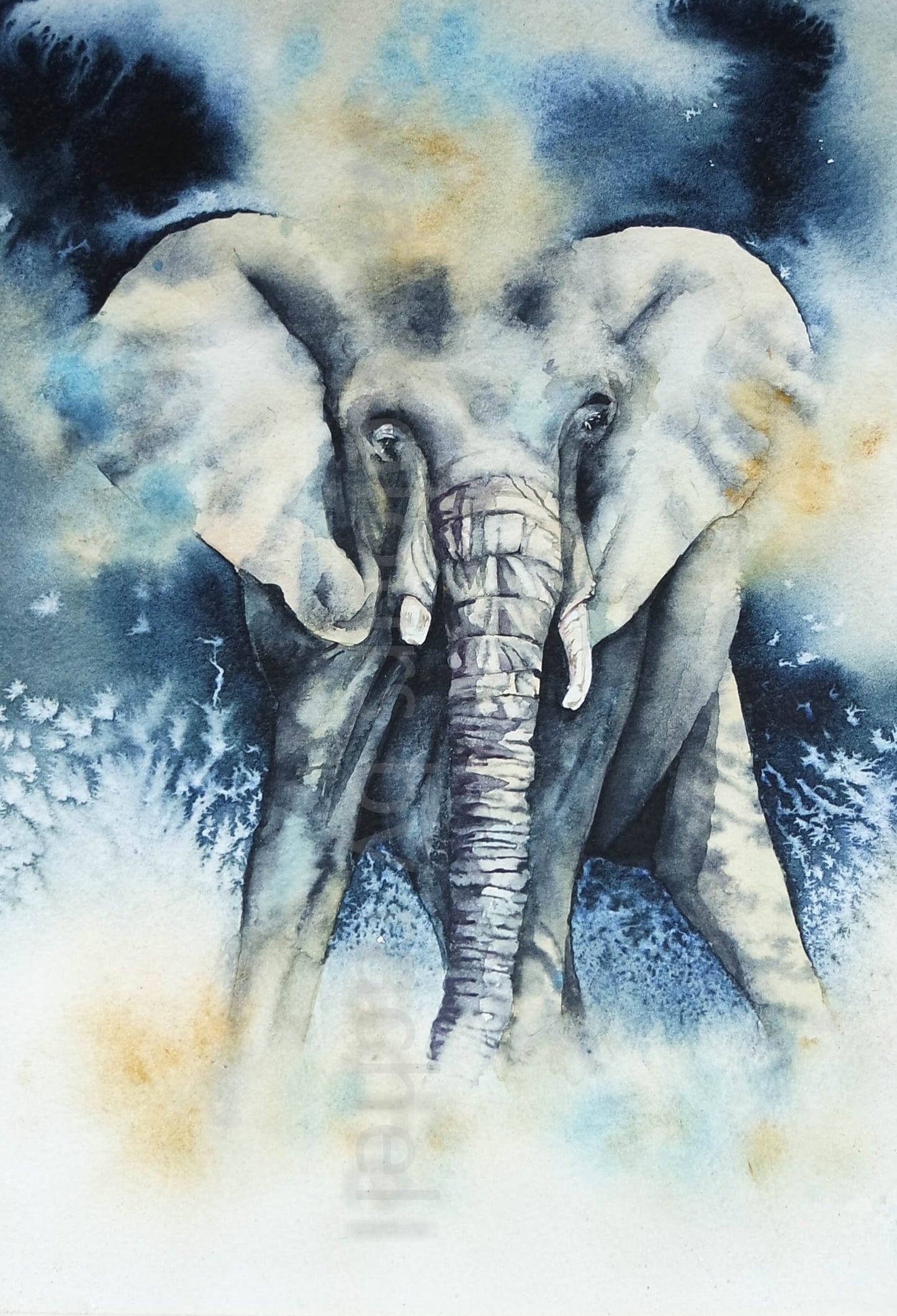 Strong yet Gentle ( Elephant)