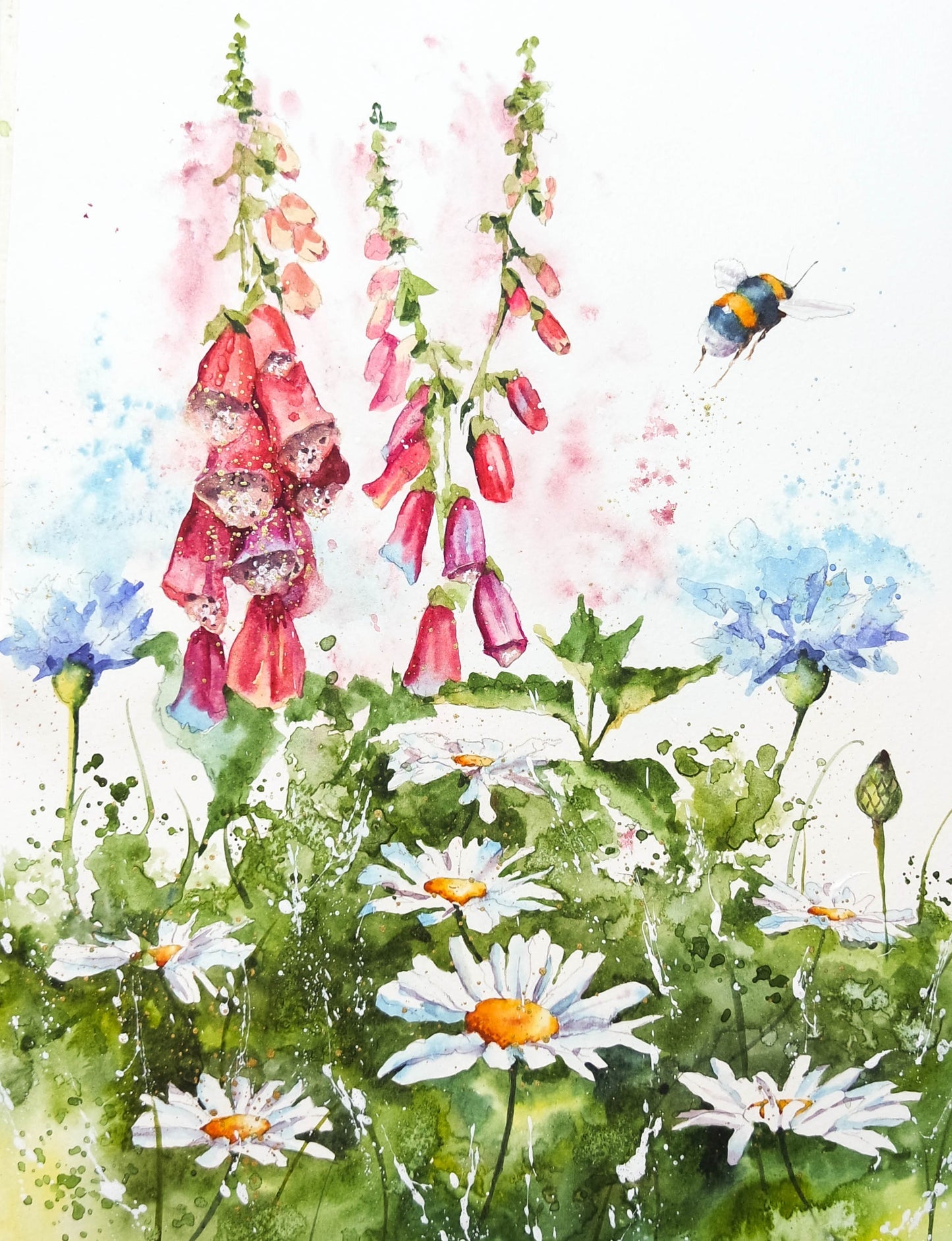 Four seasons ( 4 cards)
