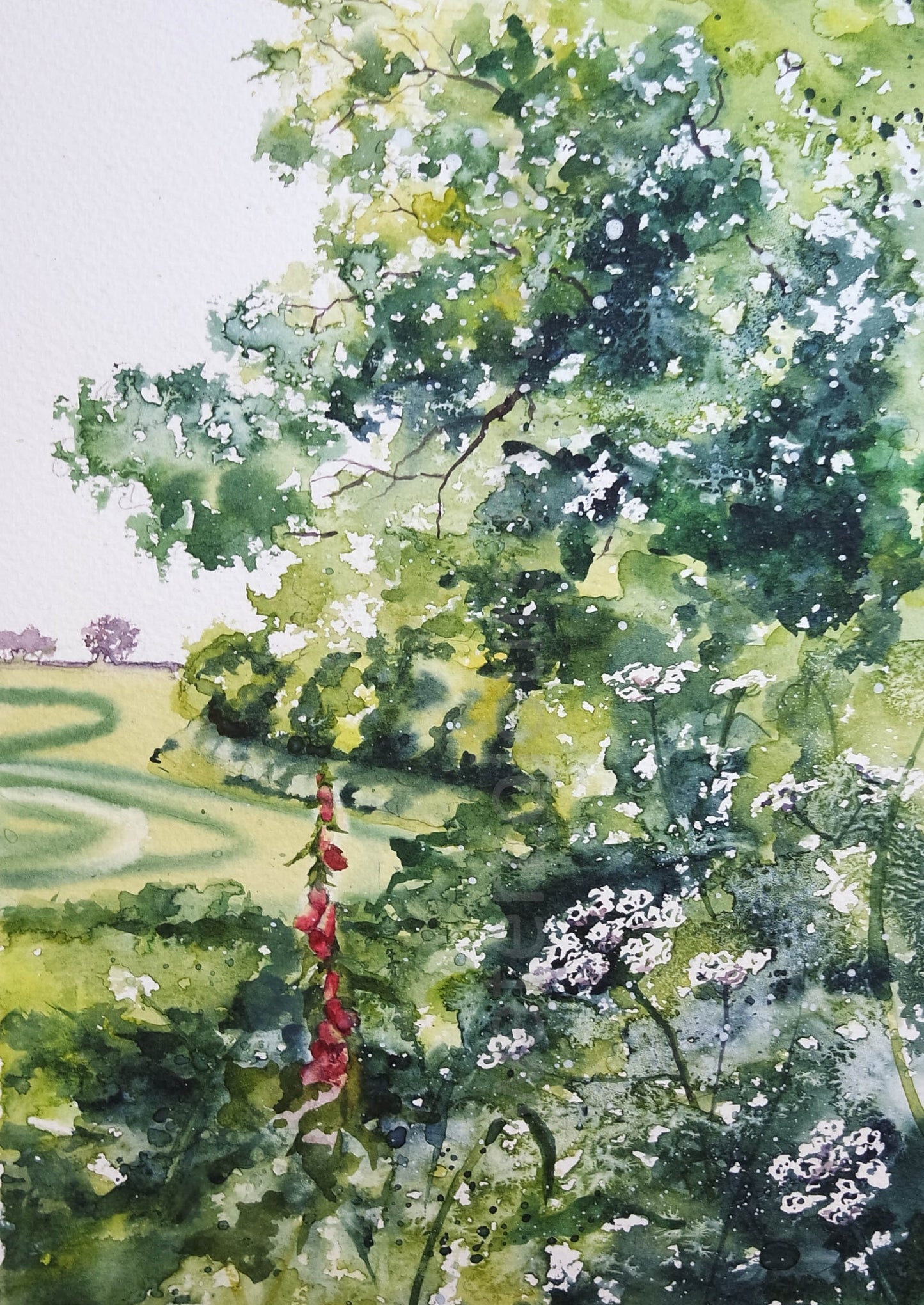 Mid summer