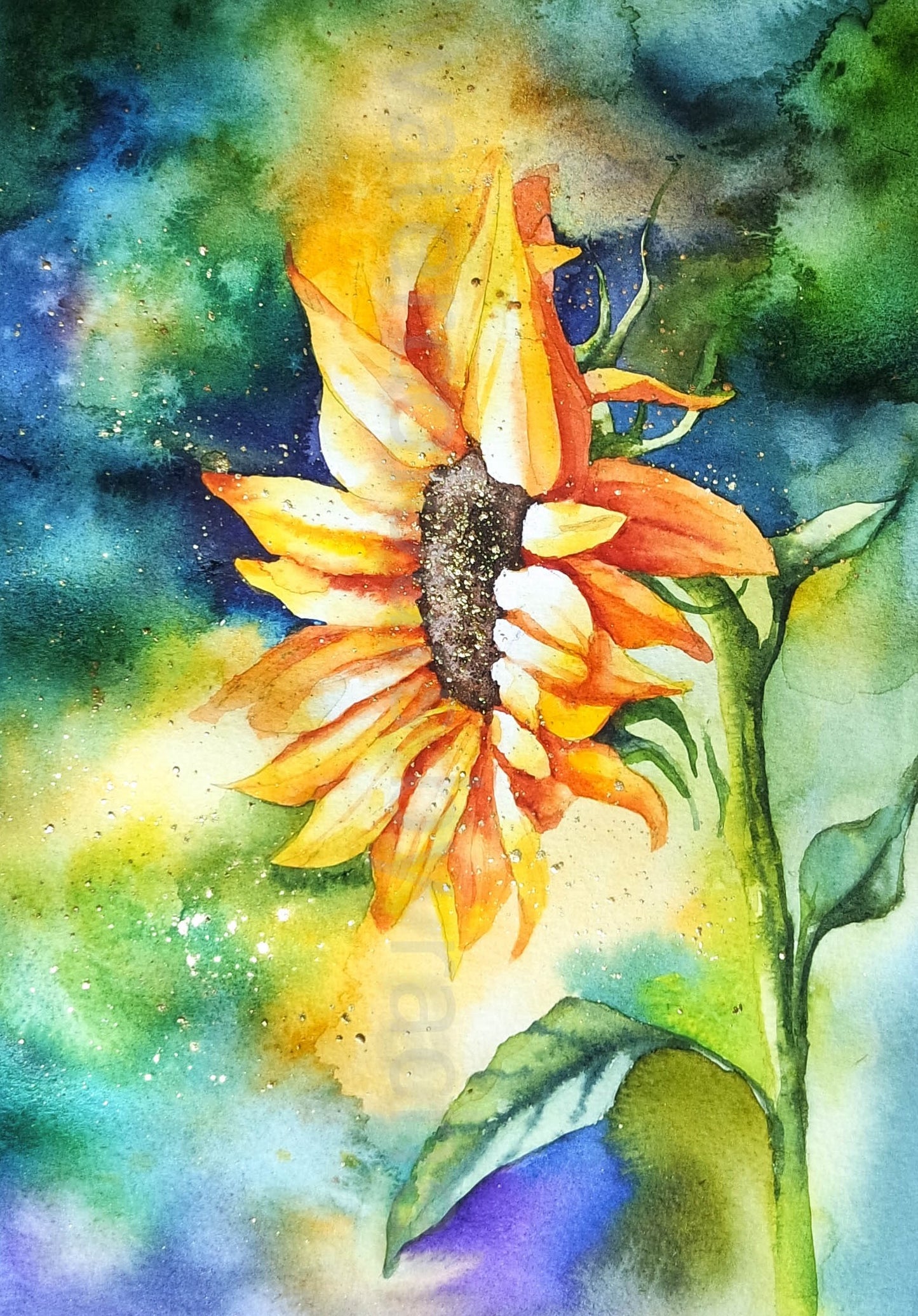 Sunflower