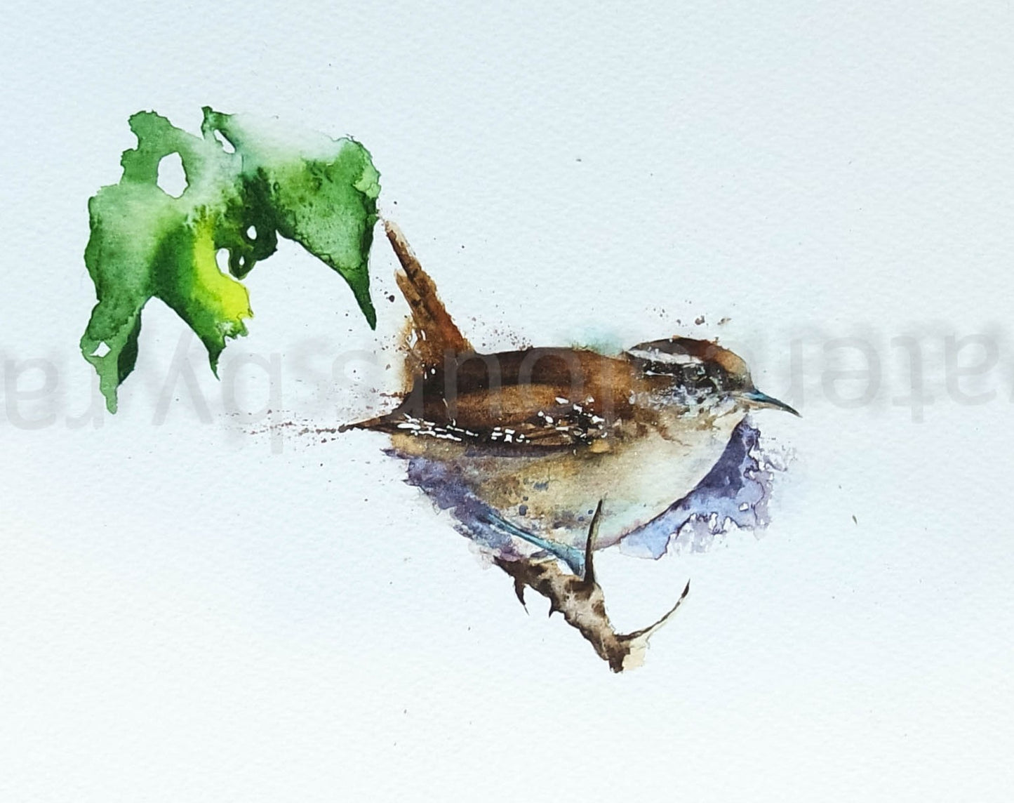 Wren