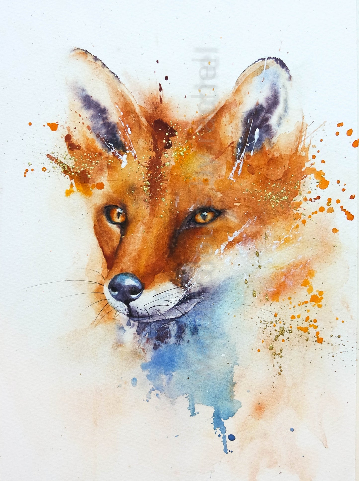 Mr Fox