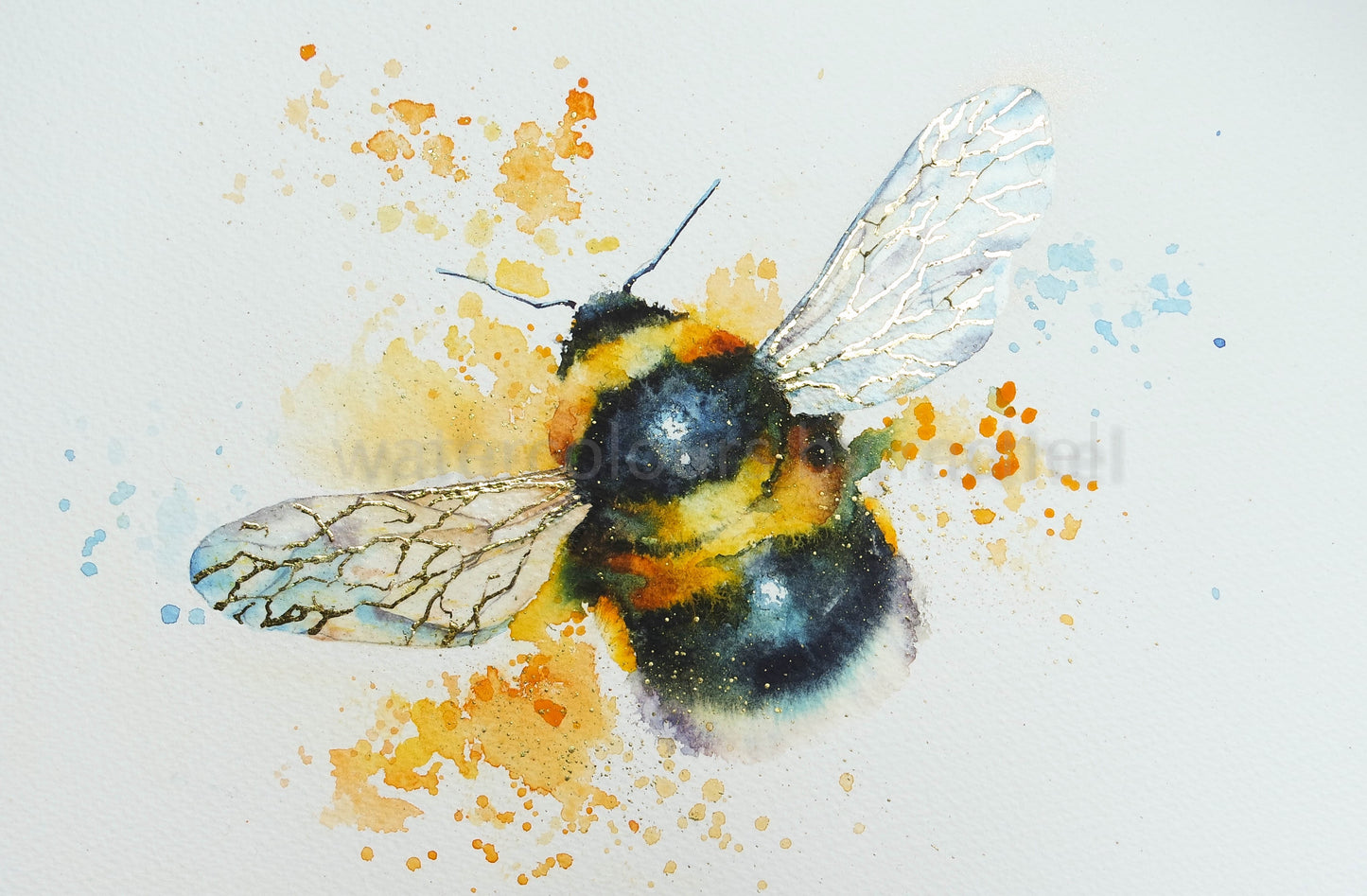 Notice the bumble bee