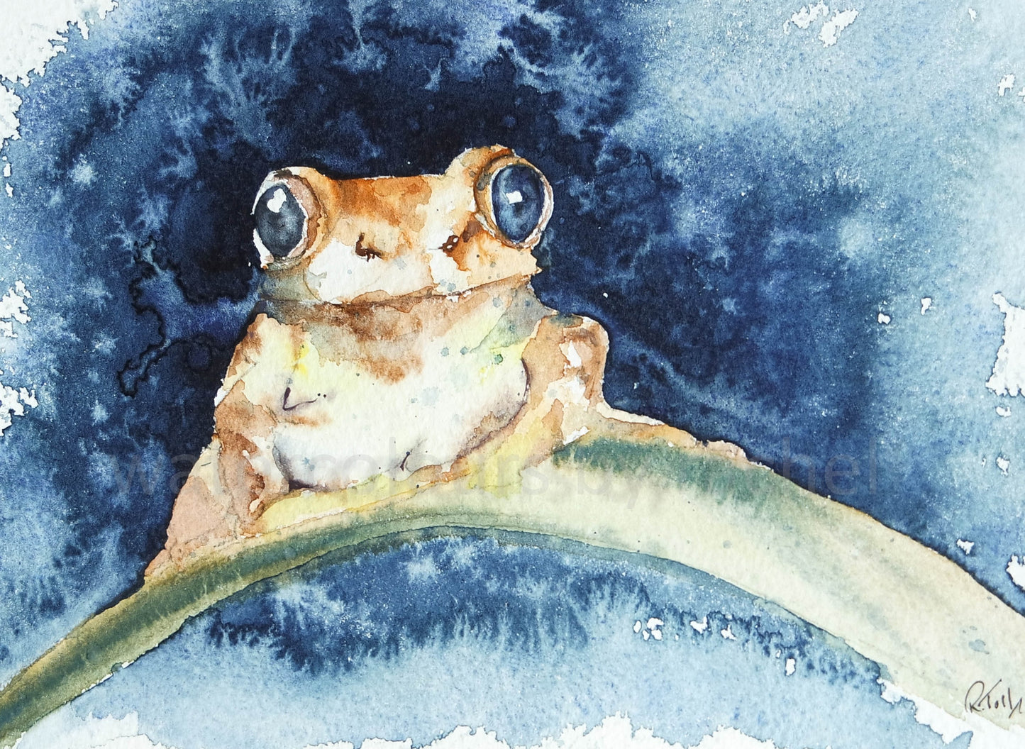 ***AFFORDABLE*** (Small Original ) Tree Frog