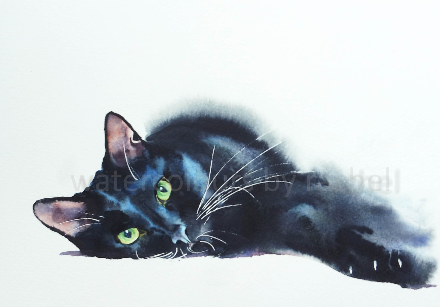 A beautiful cat, who happens to be black.