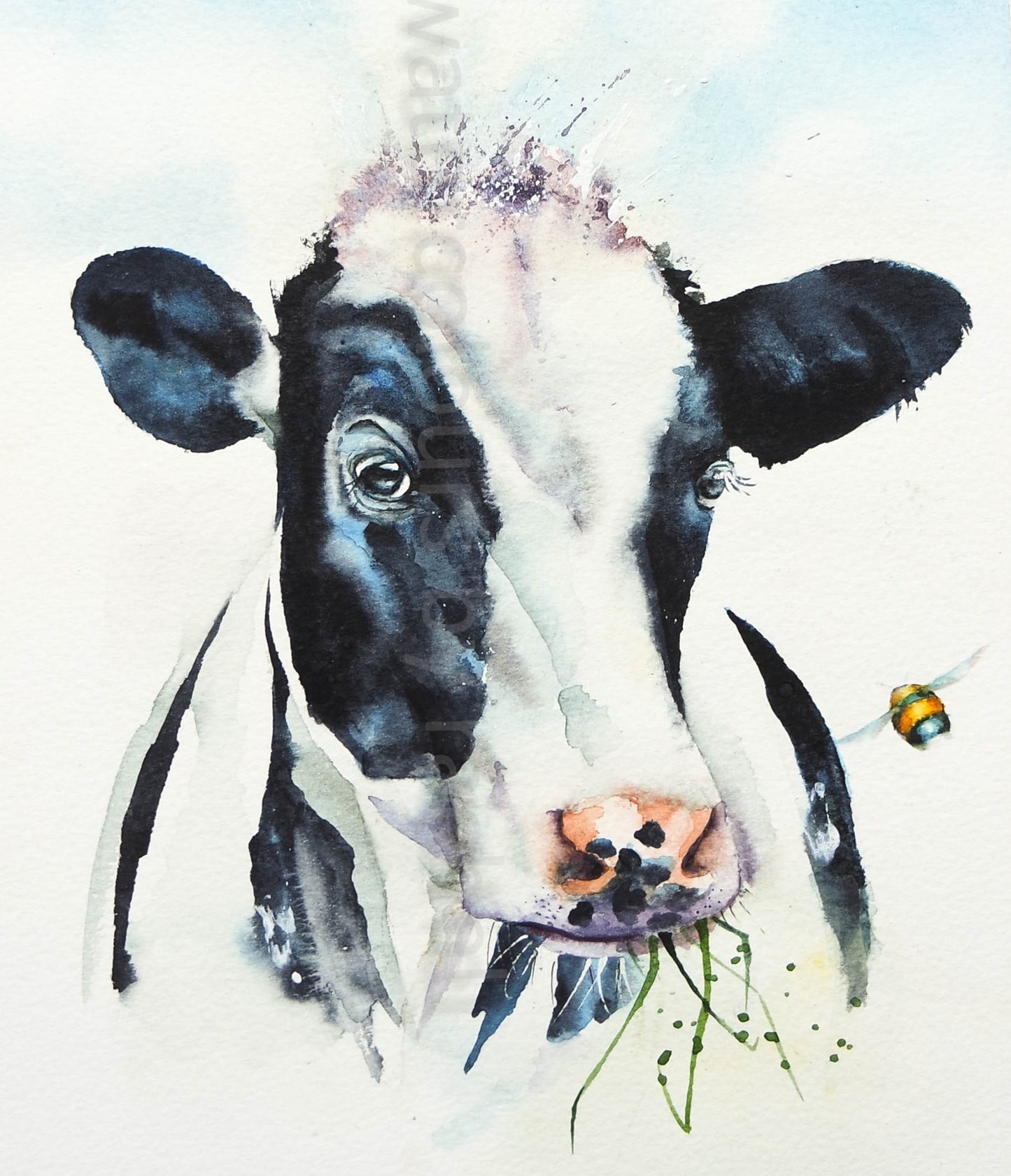 I love Moo