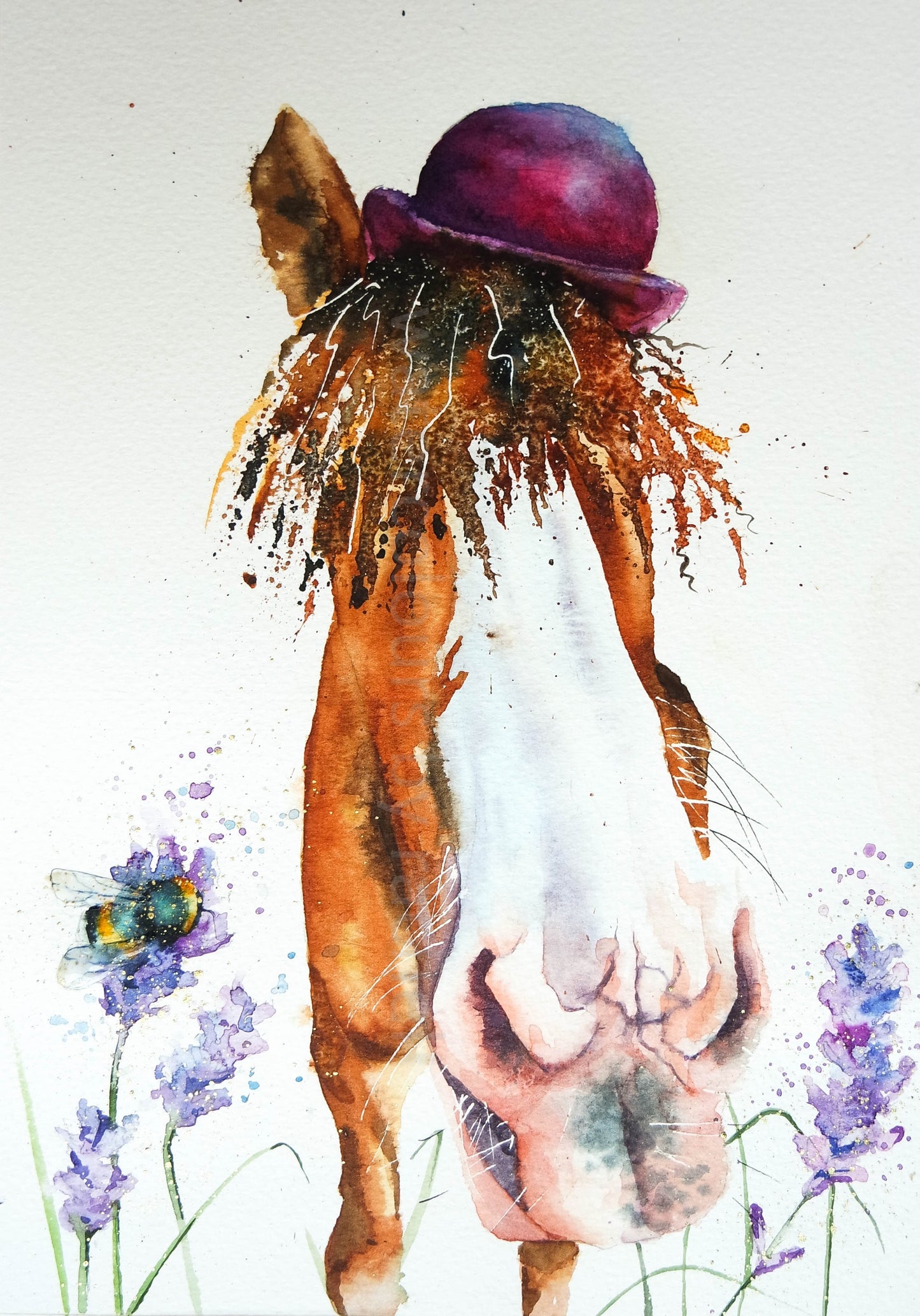 Lavender ( the friendly horse)