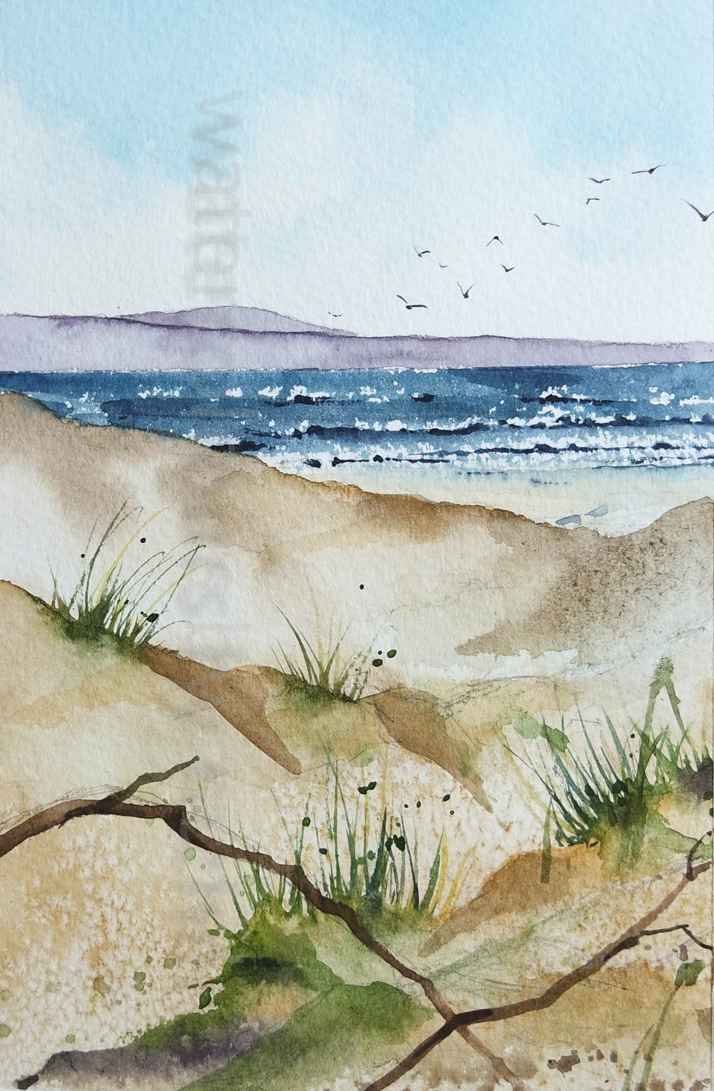 ***Autumn Sale*** Sand Dunes