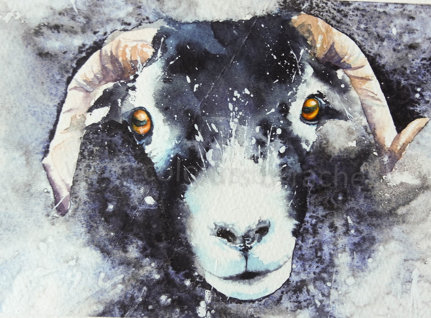 ***Autumn Sale*** Swaledale Sheep