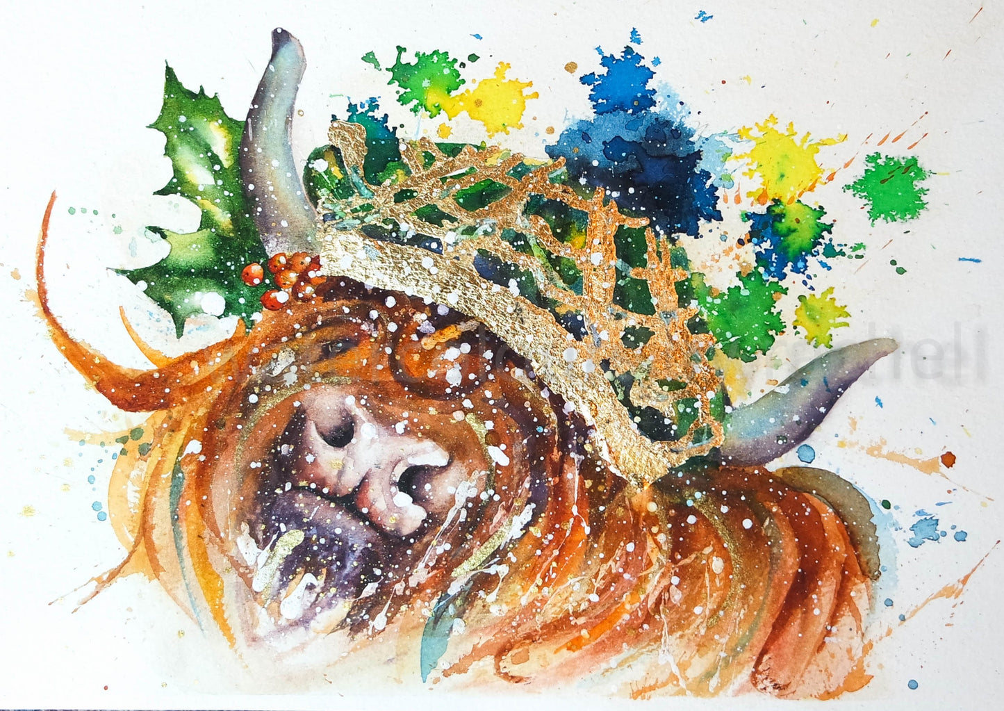 Holly the festive highland cow