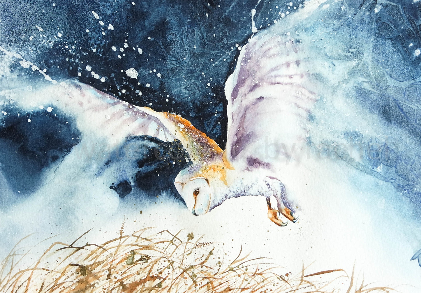The hunter ( Barn Owl)