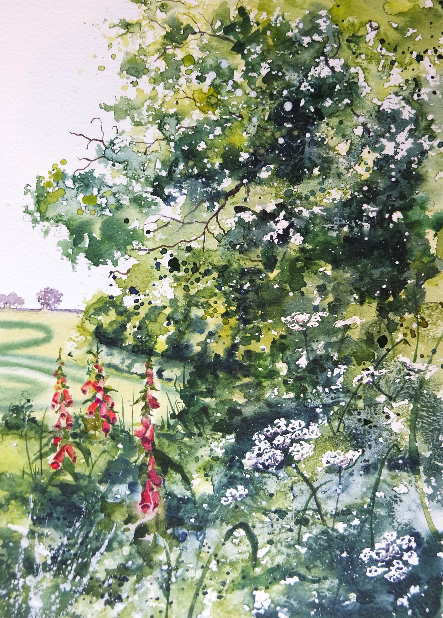 Early summer Mid Devon