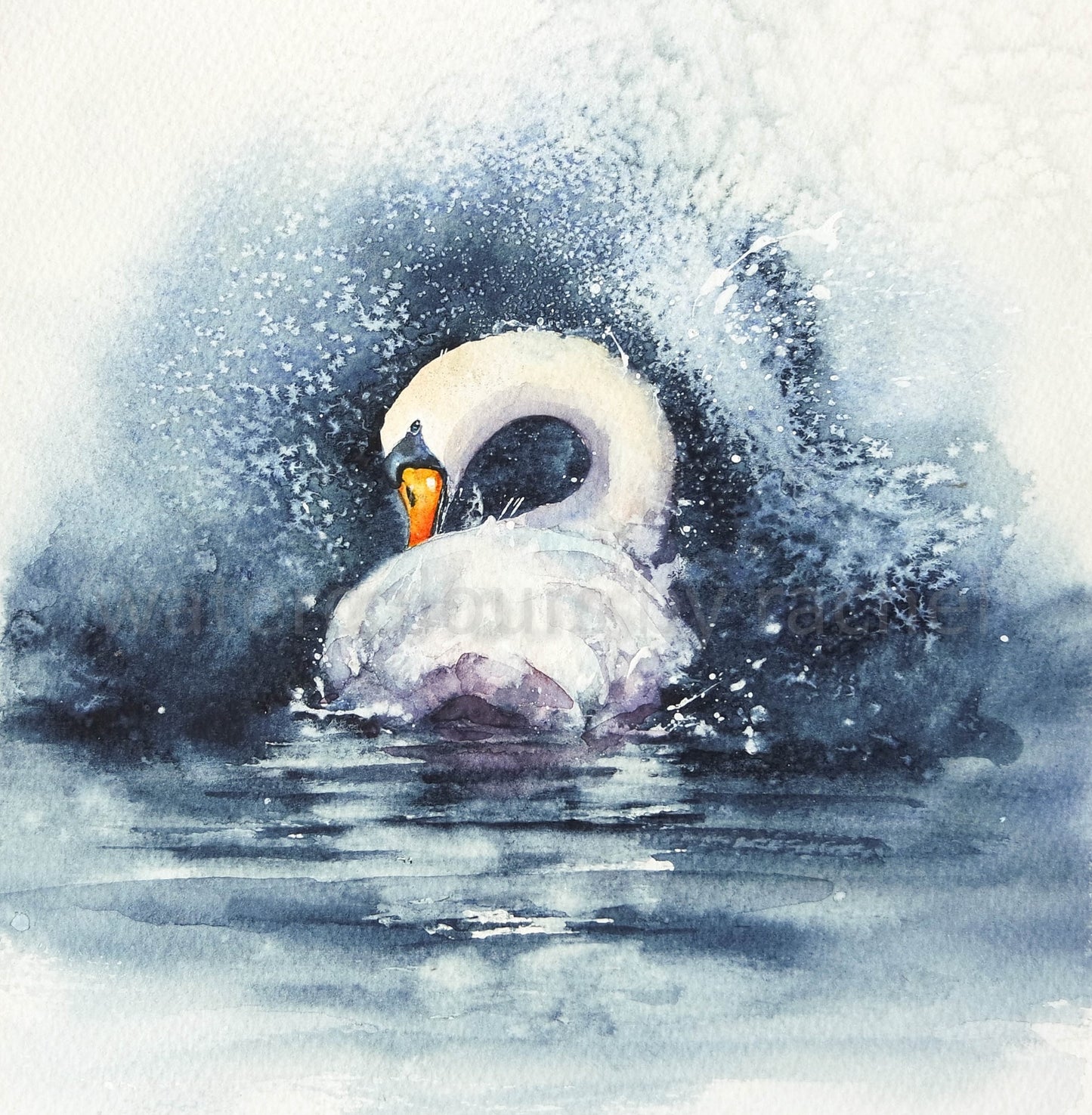 Swan