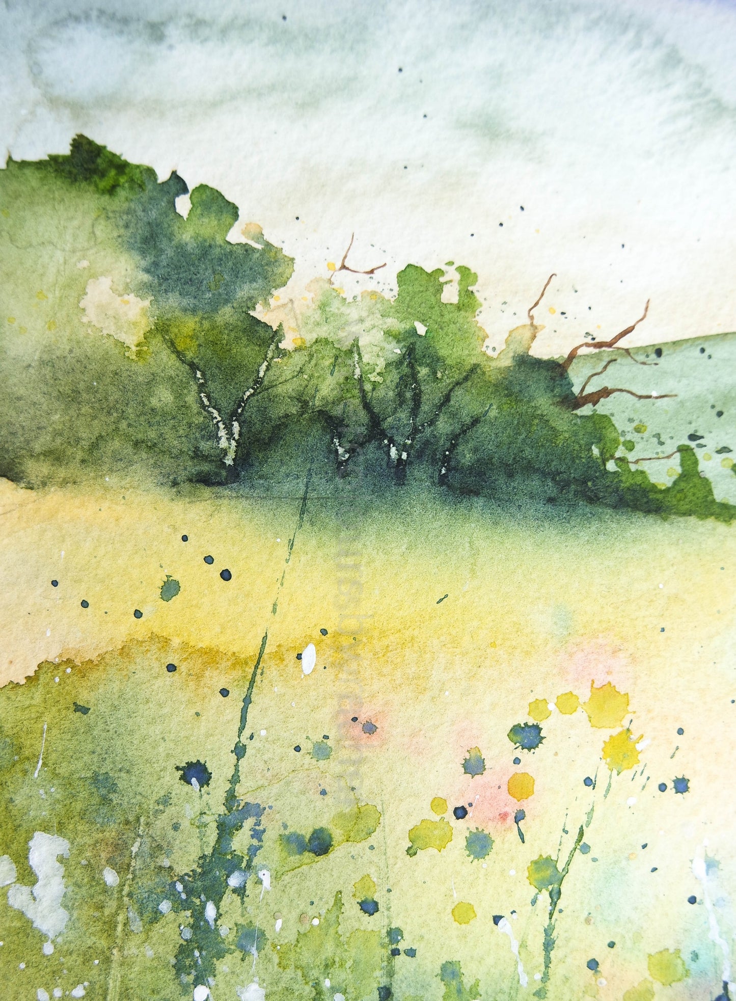 ***SALE*** ORIGINAL POSTCARD 6" x 4" JUST £15 !!!!! ( Devon Landscape )