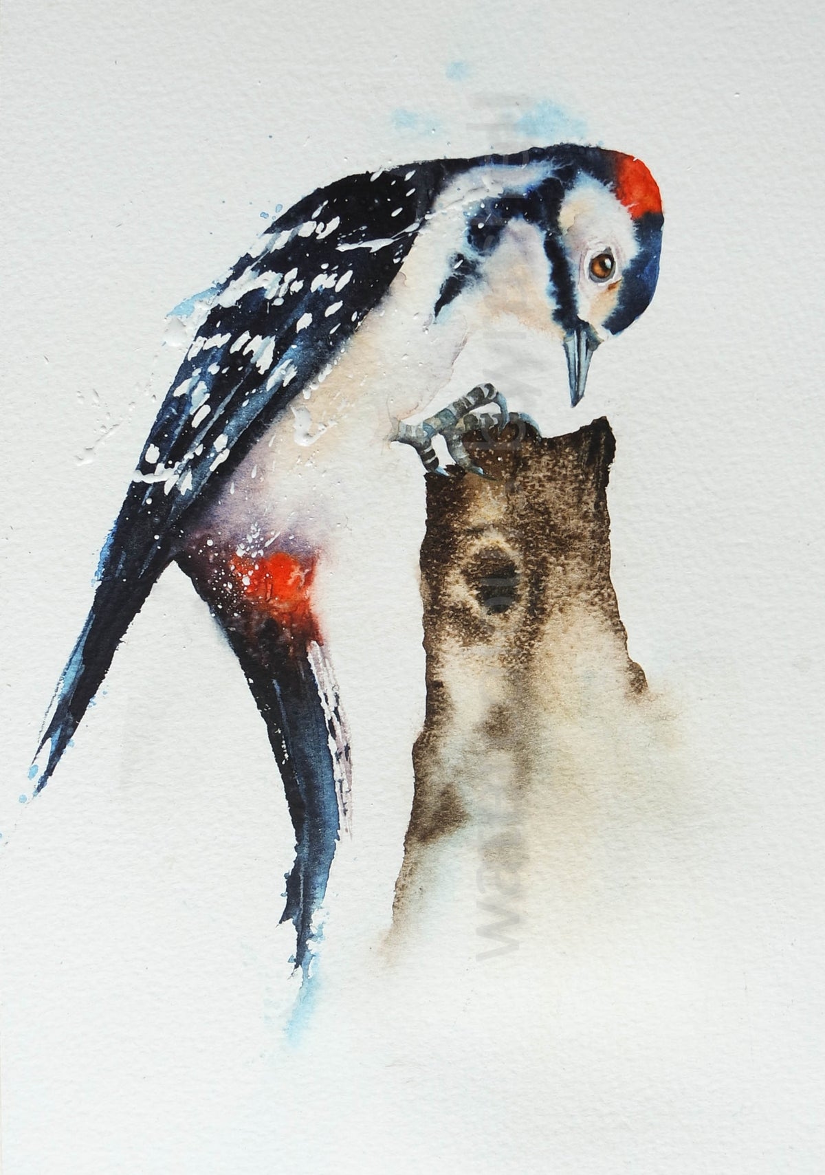 Professor Yaffle ( woodpecker)