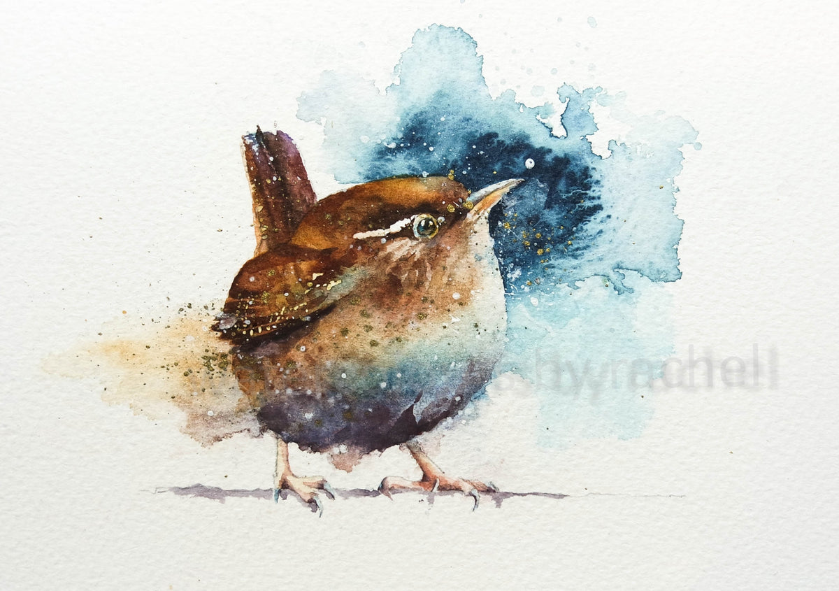 A beautiful inquisitive wren