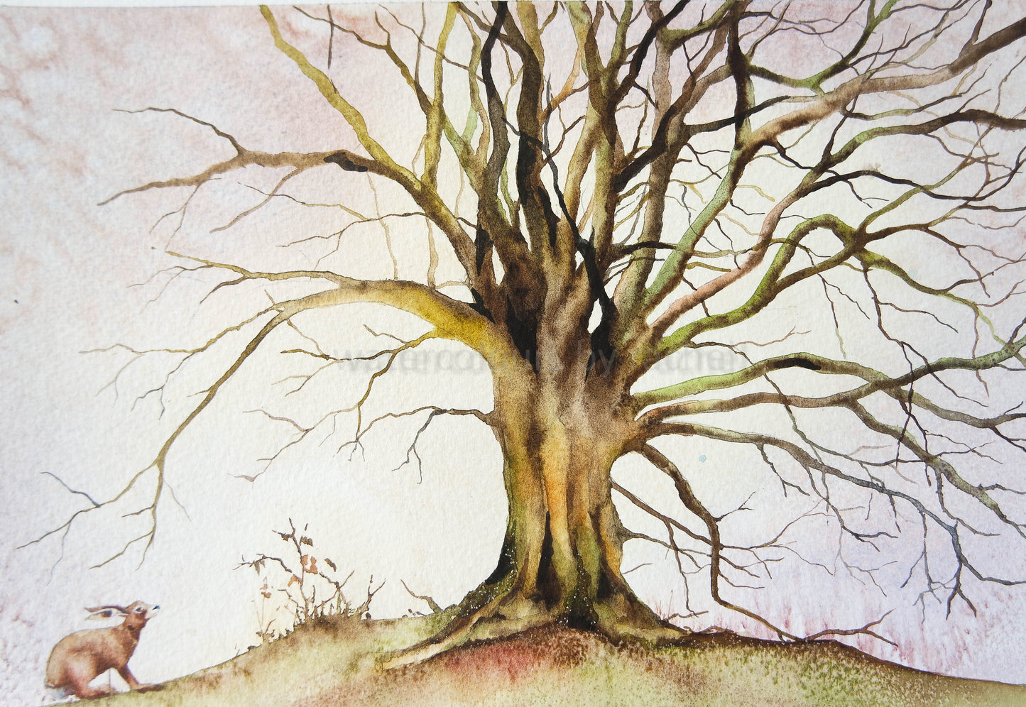 Woodland Christmas (4 cards)