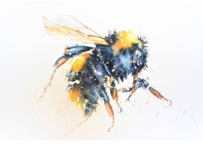 Wildlife Artist of the Year Collection ( four cards )