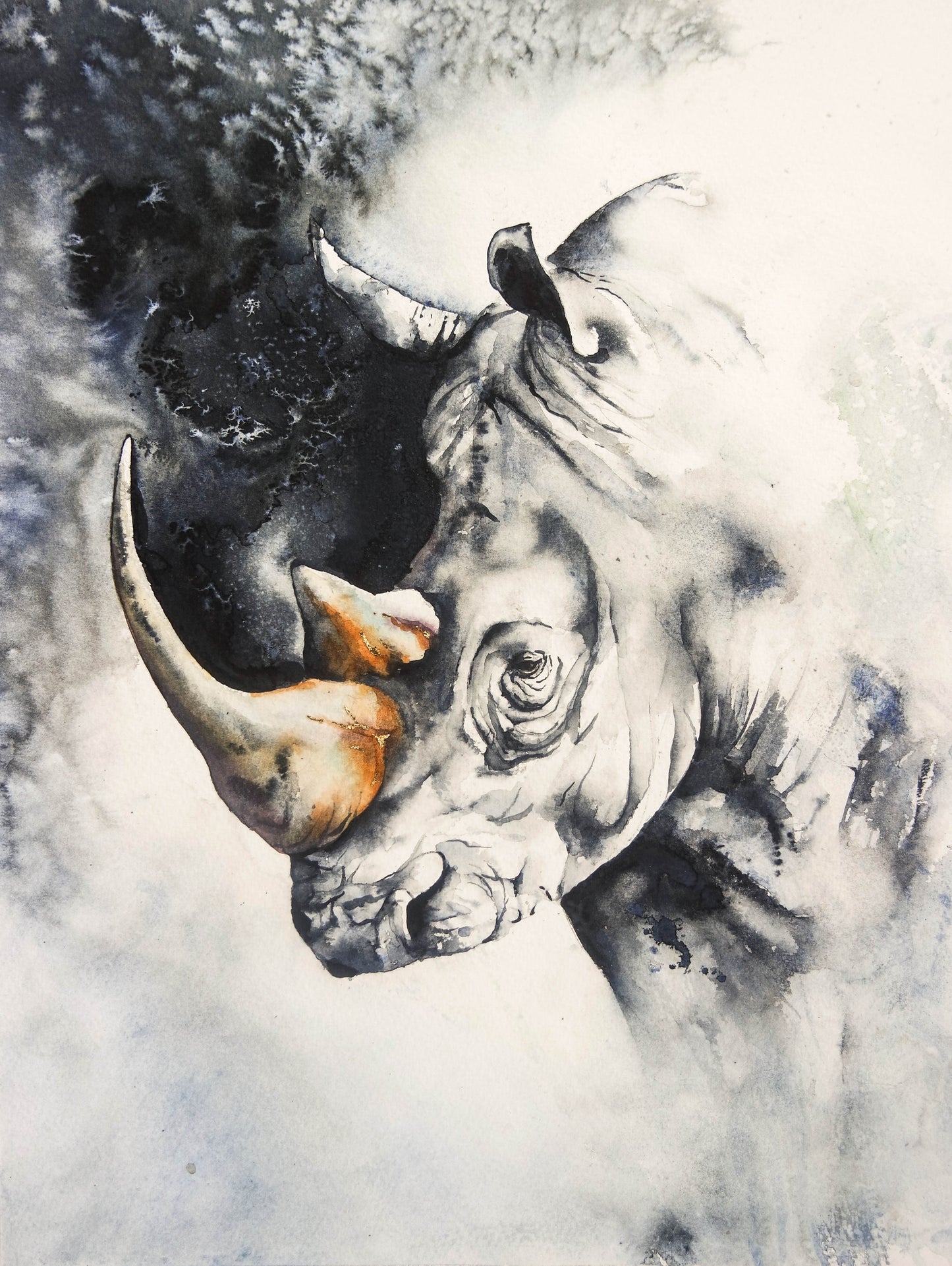 All that is Gold does not Glitter... (Rhino)