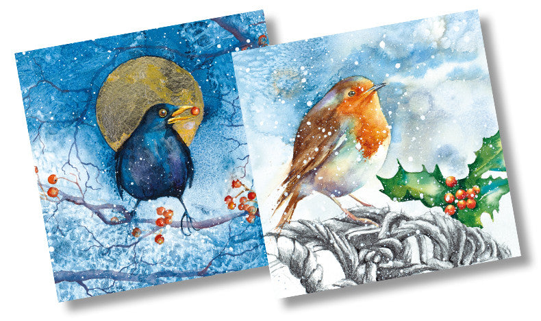 Christmas packs, Blackbird and Winter Robin (10 Cards)
