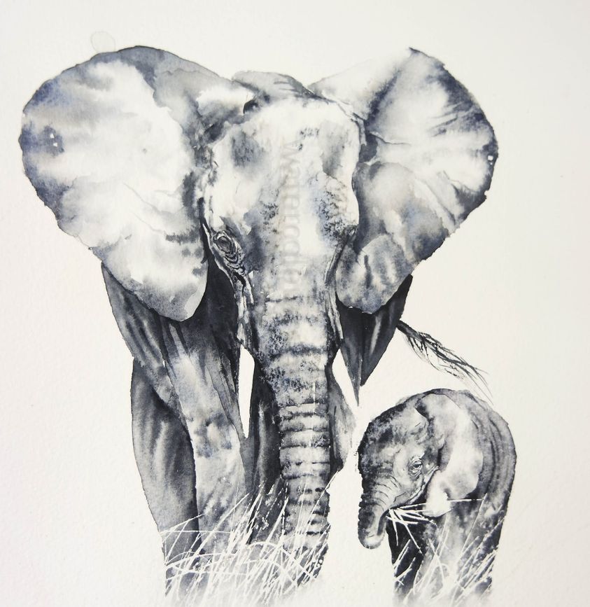 Mother and calf ( elephants)