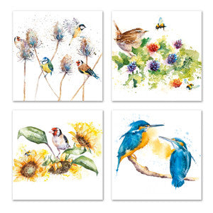 Note card Wallet ( 8 cards) - Kingfishers and other birds