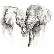 Perfect pairs, cards with pairs on each card, elephants, kingfishers blue tits and puffins