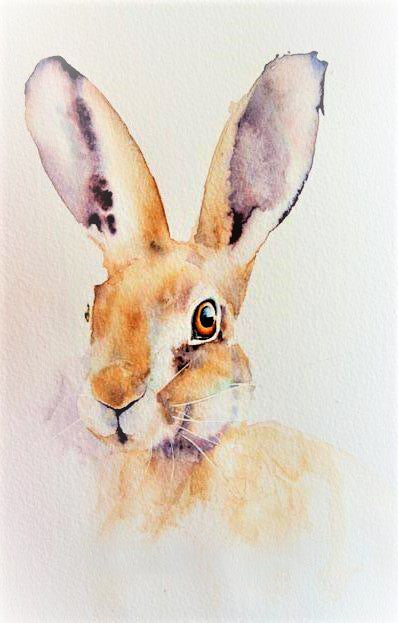 Wildlife Artist of the Year Collection ( four cards )
