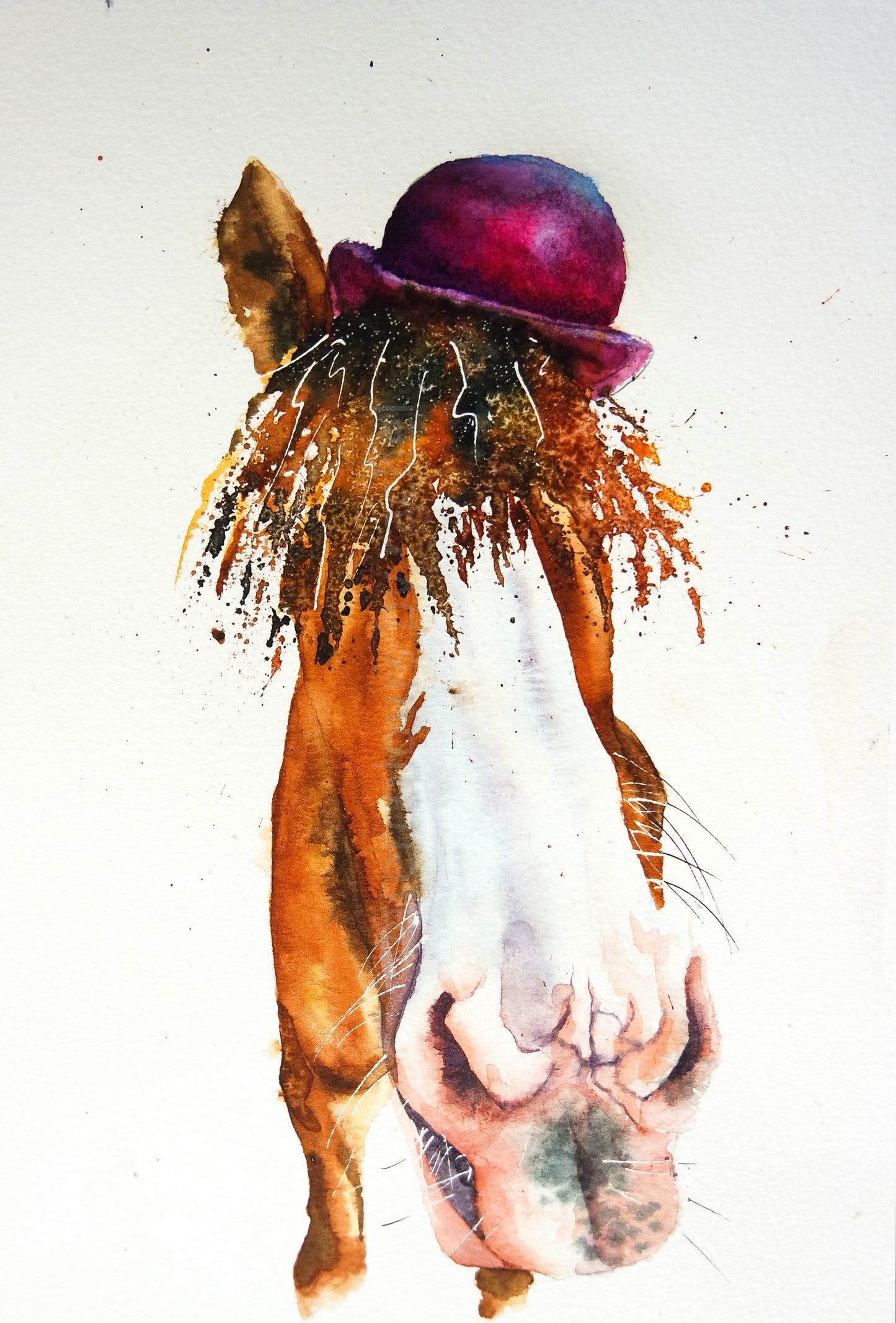 Hamish the highland cow and friends