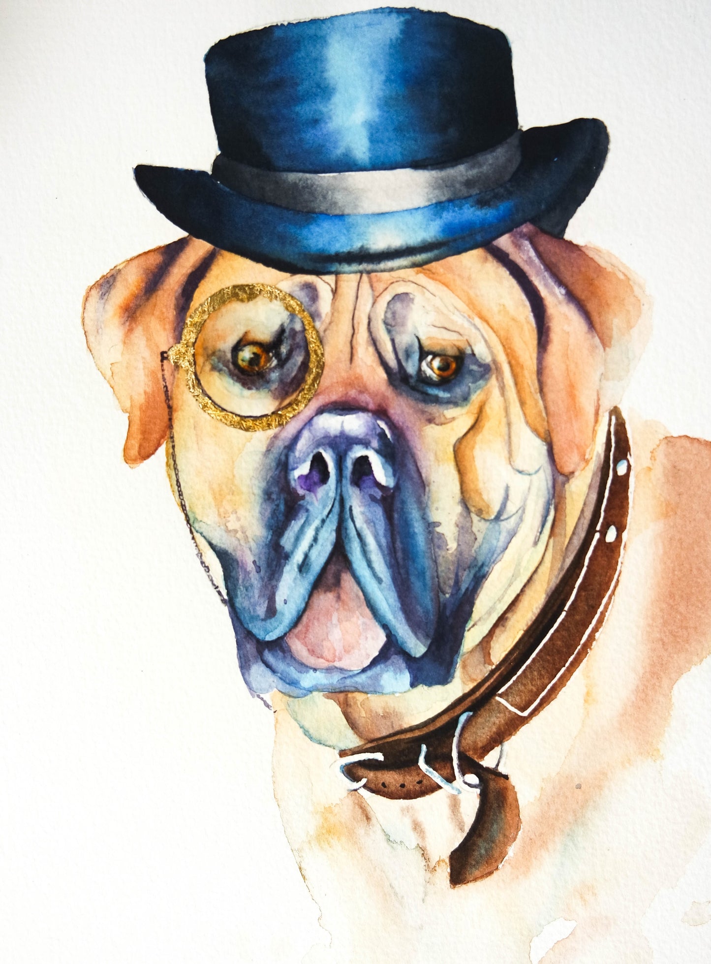 Hamish the highland cow and friends