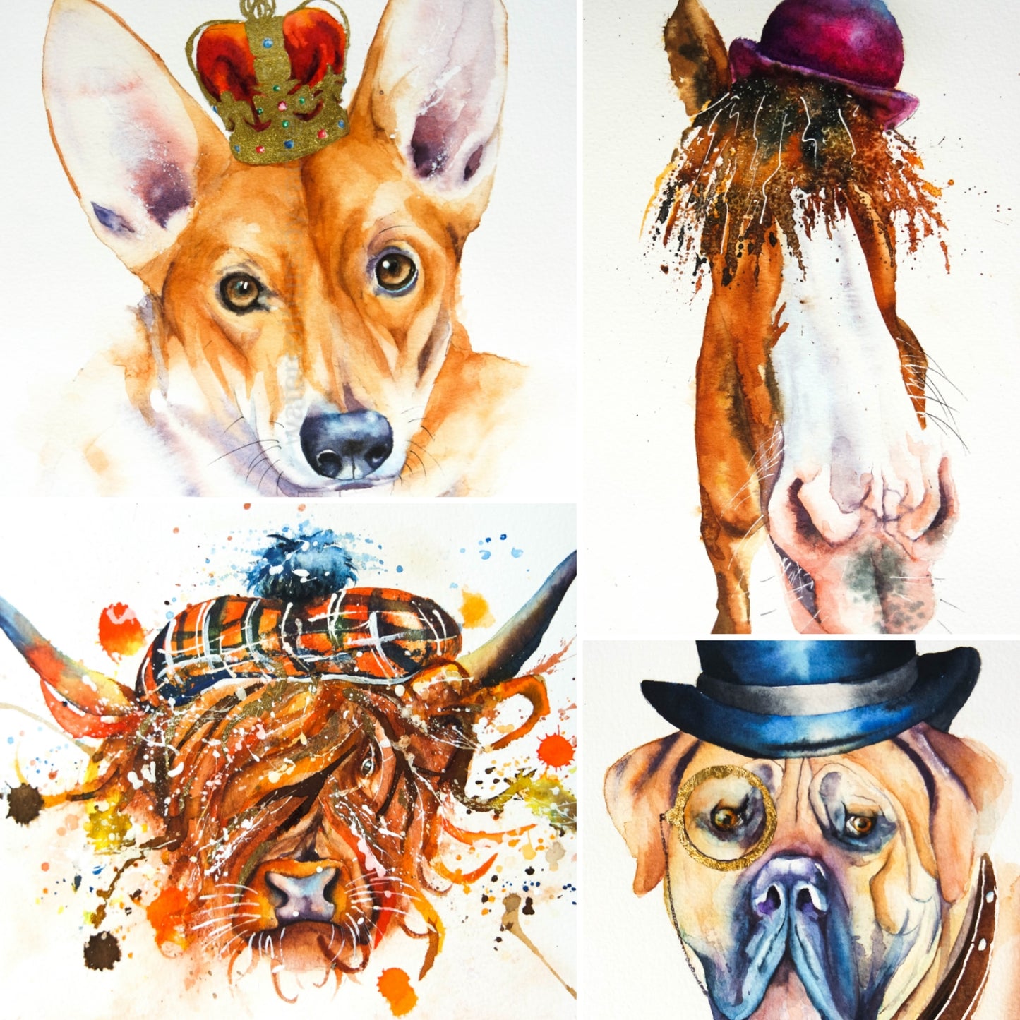 Hamish the highland cow and friends